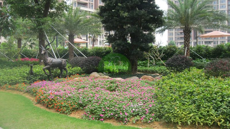 江苏苗木种植每亩成本解析：影响因素与合理预算**