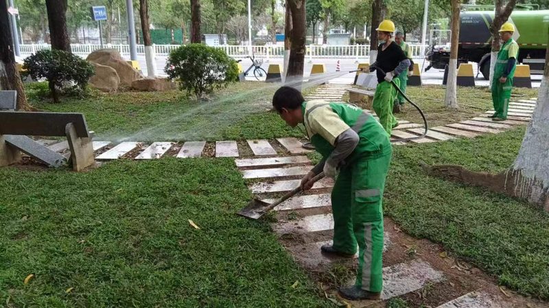 绿植租赁与购买：成都园林景观中的选择之道