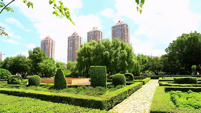 苗木种植技术视频教程：高清版，揭秘种植秘诀