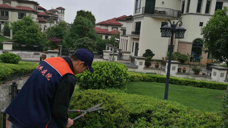 上海城市园林苗木报价解析：如何规避误区，确保项目质量**