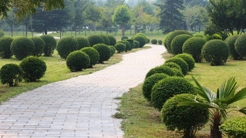 小区绿化植物搭配设计，打造宜居生态家园