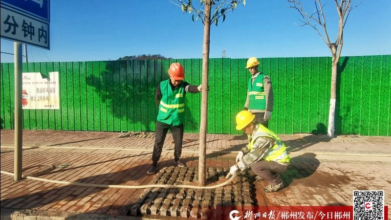 绿化养护哪家公司好