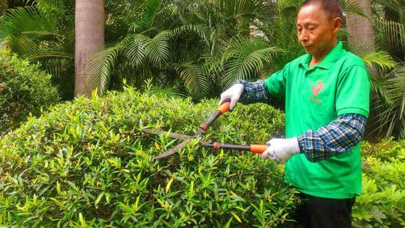园林绿化投标文件编制，这些步骤不能少**