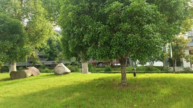 绿化资质办理：如何选择合适的项目规模与报价**