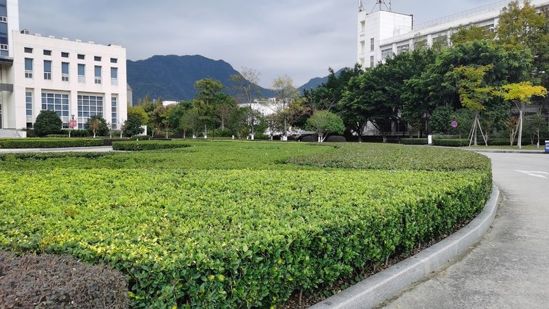 学校人工草坪铺设：施工价格背后的考量因素