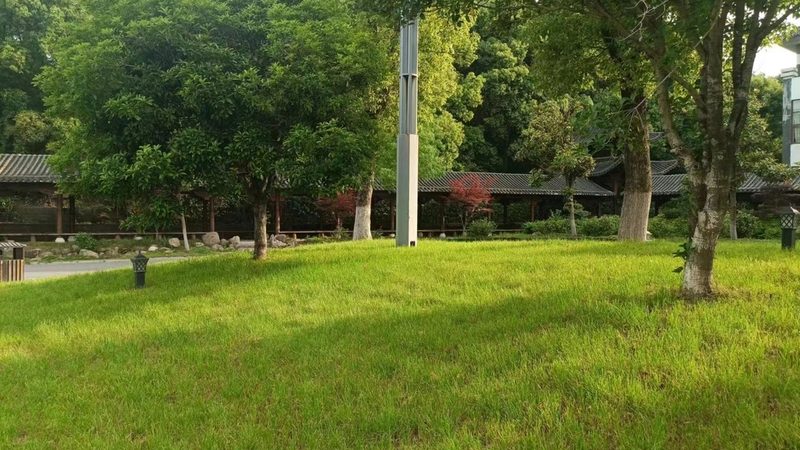 人工草坪铺设：价格构成与费用明细解析