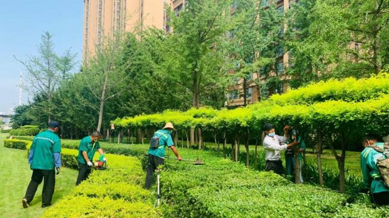 水分是植物生长的重要条件，道路绿化养护中，水分管理尤为重要：
